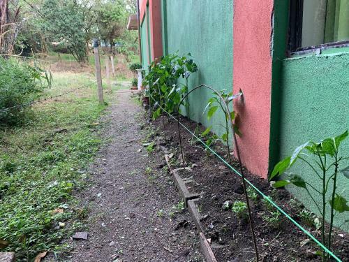 Apartamento Globi Lodge #3