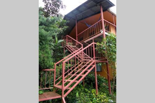 Apartamento Balcony Room Monteverde