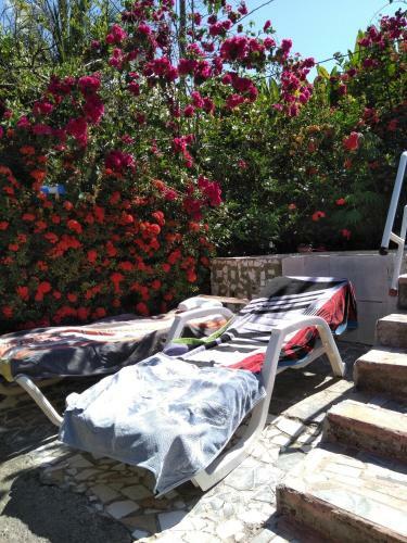 Apartamento Cabina Caballo Del Mar