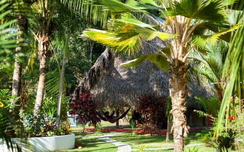 Hostal El Ranchito Surfcamp