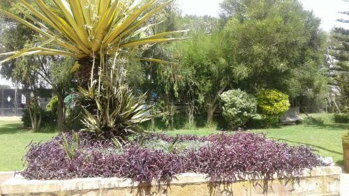 Superb Self Catering Holiday Home
