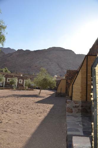 Hotel Sheikh Mousa Bedouin Camp
