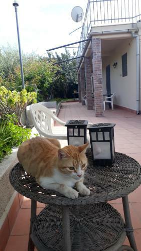 Carrubo - Giardino In Citt�