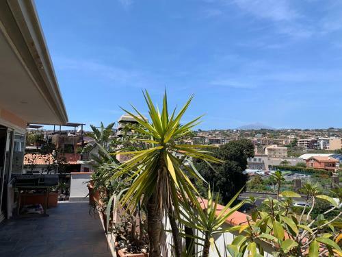 Apartamento Zziny House (Sea Loft)