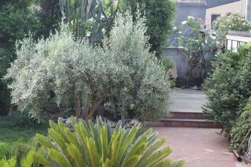 Apartamento Bouganville