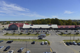 Holiday Inn Express Hotel & Suites Waterloo - St. Jacobs Area