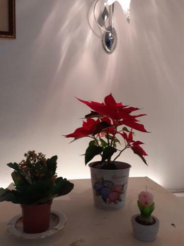 Apartamento Casa Adelia