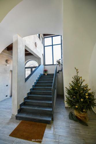Bed & Breakfast Antica Catania Accomodation