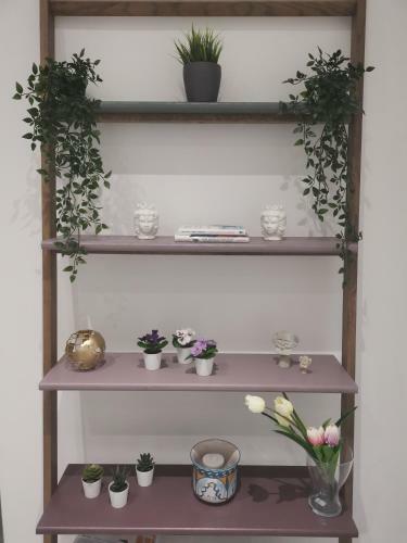 Apartamento Dad� House