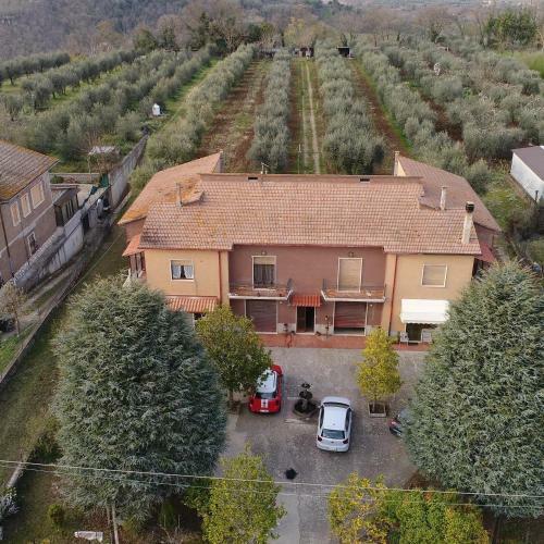 Le Radici