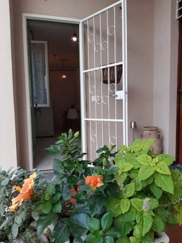 Apartamento Il Cortile