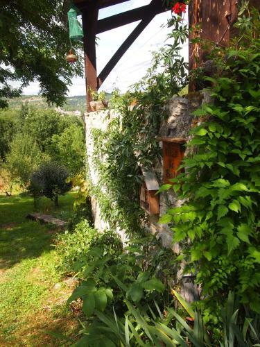 Rural Peace And Tranquility With A View