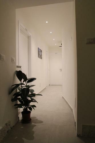 Hostal Quattro Stelle Al Porto Affittacamere