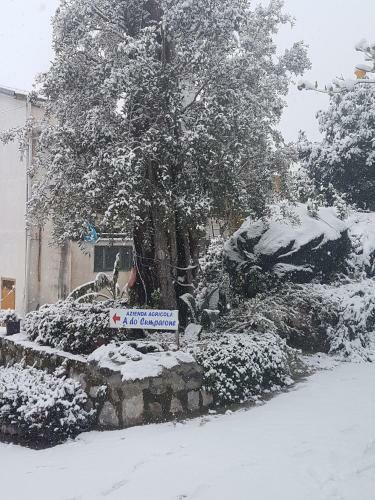 Bed & Breakfast Agriturismo A Do' Cumparone