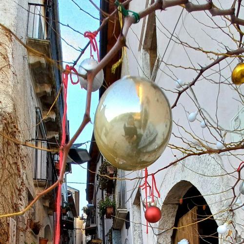 Bed & Breakfast L'armonica Di Nonnosandro