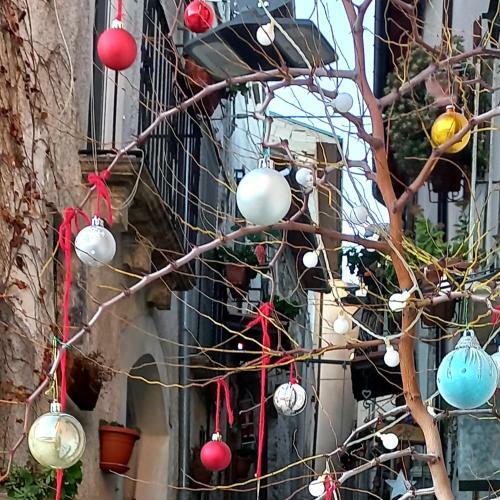 Bed & Breakfast L'armonica Di Nonnosandro