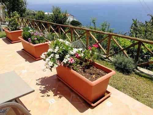Thats Amore Holidays - Villa Donna Antonia