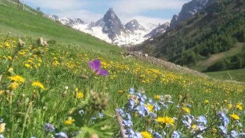 Hotel Aiguille Noire