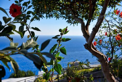 Casa Ibisco, Amazing Apartment With Sea View