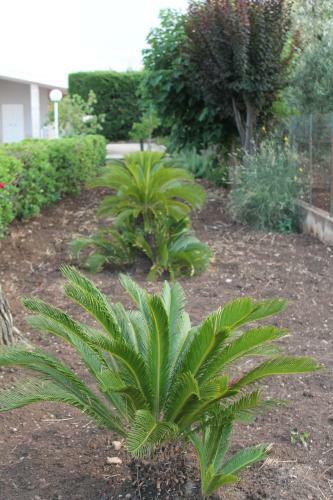 Agroturismo Il Giardino Di Artemide