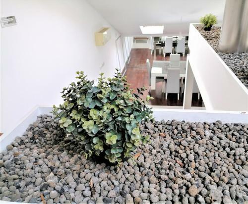 Apartamento 24 Loft Design Avenue