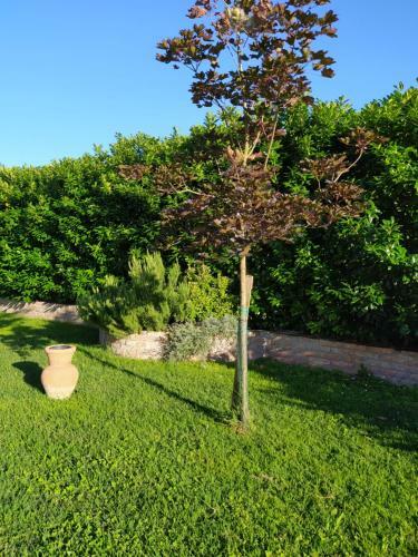 Soggiorno In Relax