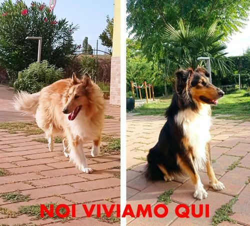 Solo Voi Due B&B