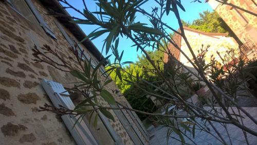 Hostal Domaine de L'asenon