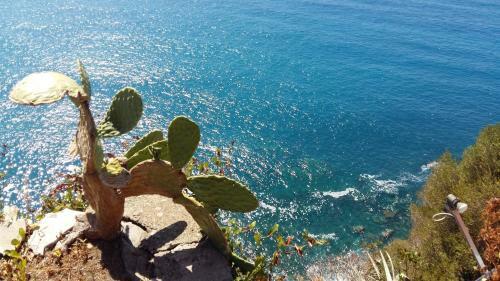 Apartamento La Terrazza Sul Blu
