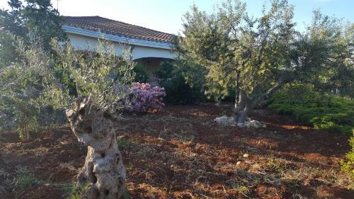 Villa La Civetta Rodonisa