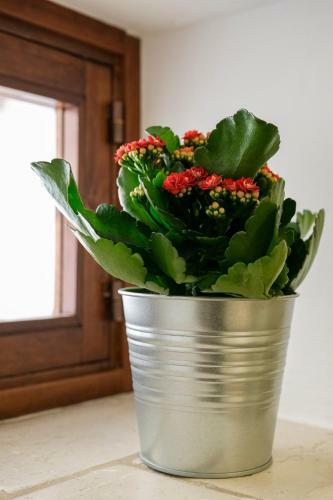 Apartamento Casa Doranello