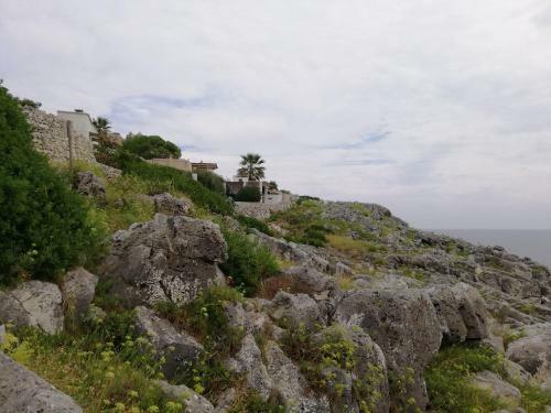 Apartamento Villa Puce