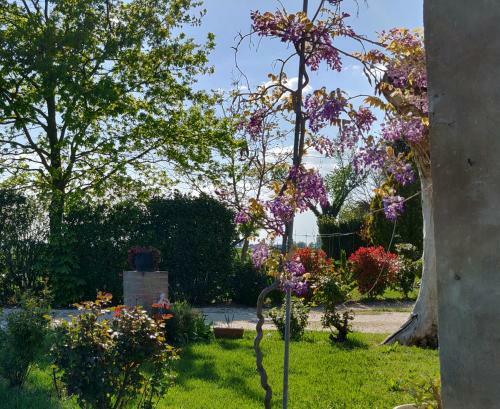 B&B Il Glicine Nascosto