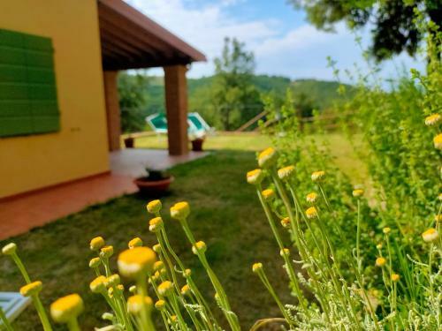 Villa Sulle Colline Toscane Con Piscina