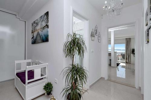 Luxurious Apartment Nino