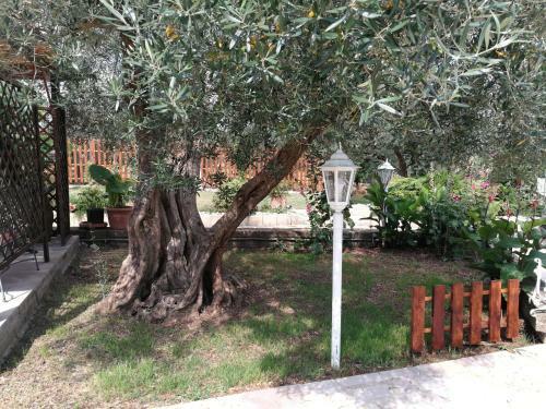 Bed & Breakfast Villa Eb