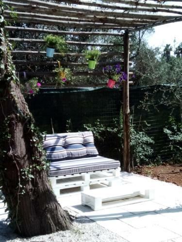 Bed & Breakfast I Fichi Bianchi