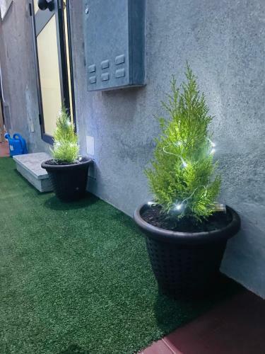 B&B Il Cuore Di Kroton