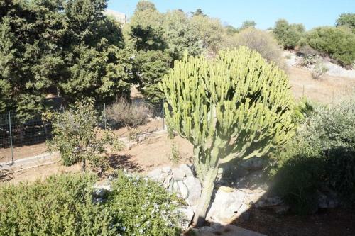 Apartamento Casa Vacanza Rosa Dei Venti