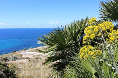 Casa Giummarra