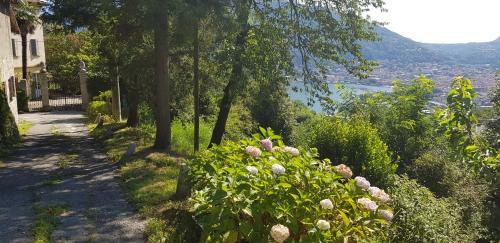 Bed & Breakfast Villa Corti
