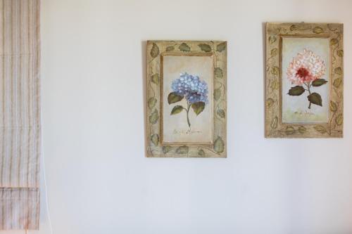 Il Giardino