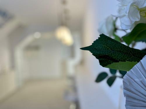 Hostal Mariarosa Suites