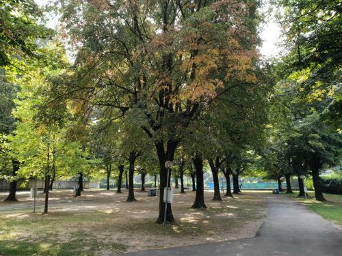 Camping No-stress International
