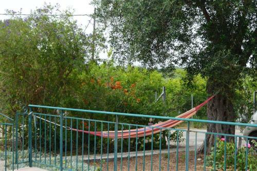 The Green House Down Town Preveza