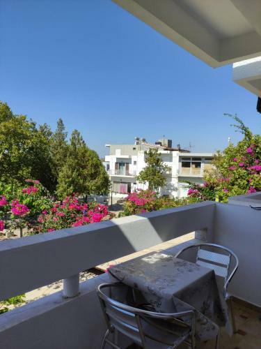 S.drosos Apartment