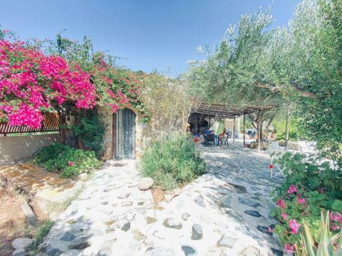 Lodge Natura Cottages