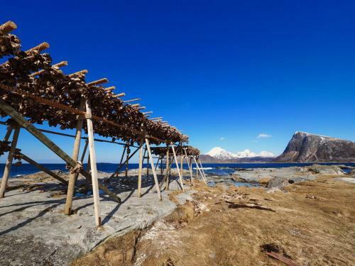 Mortsund Lodge Lofoten