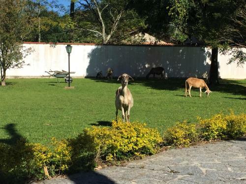 Recanto Do Ribeir�o