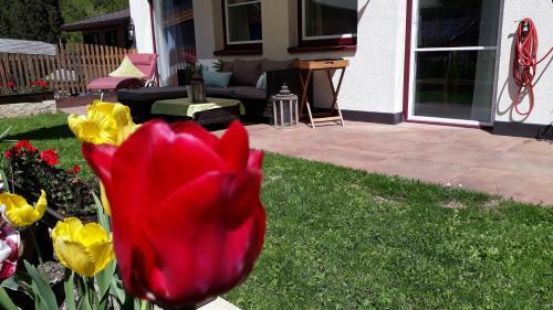 Apartamento Almsterndl